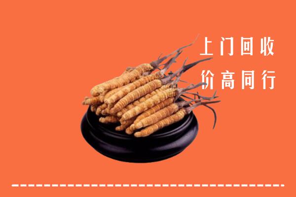 高价求购：蓬安县回收散虫草