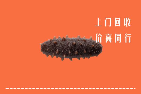 蓬安县回收海参